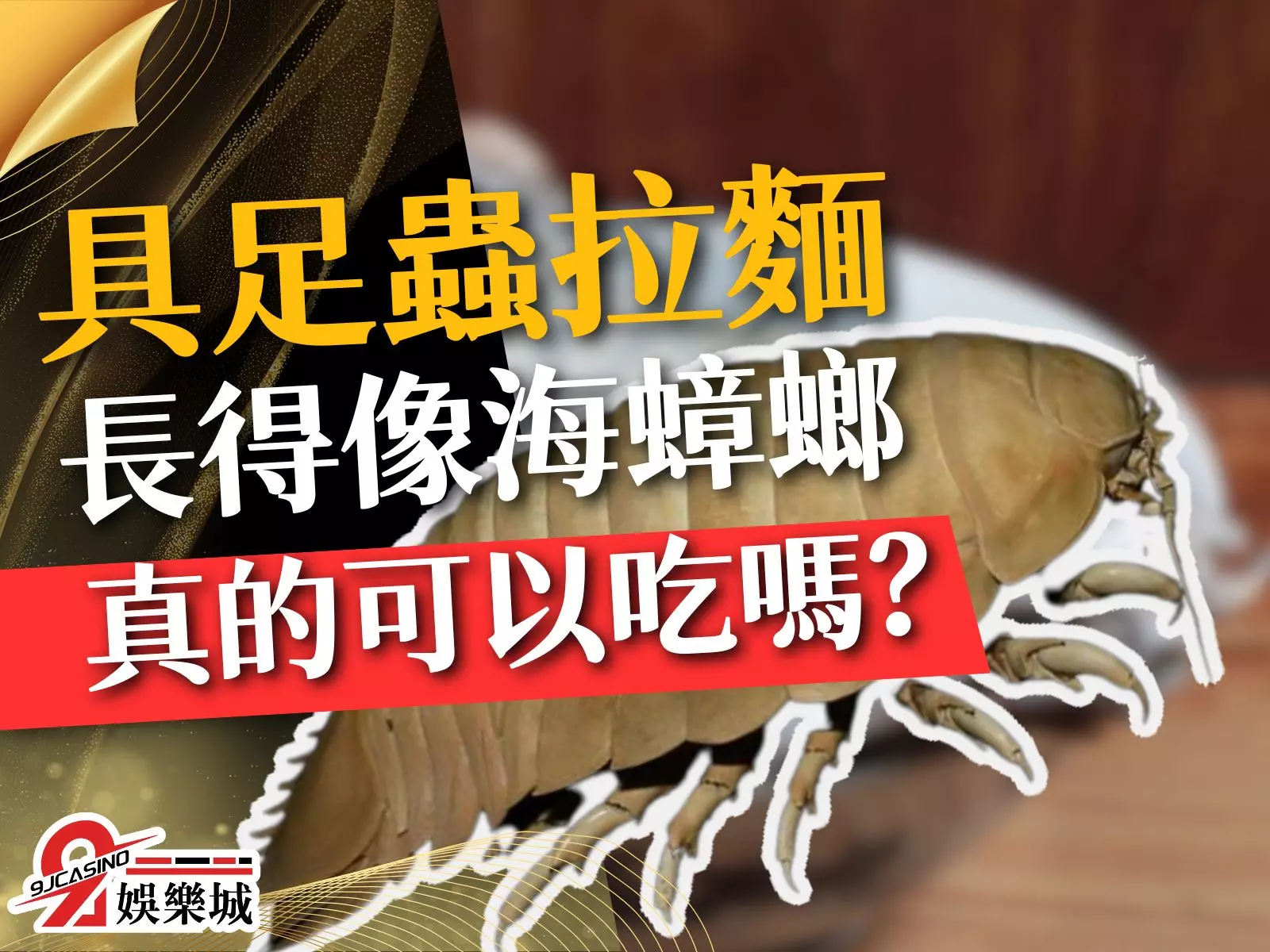 具足蟲拉麵 大王具足蟲 詹姆斯具足蟲